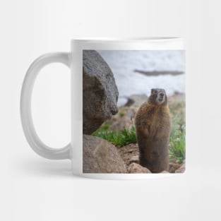 Standing Marmot Mug